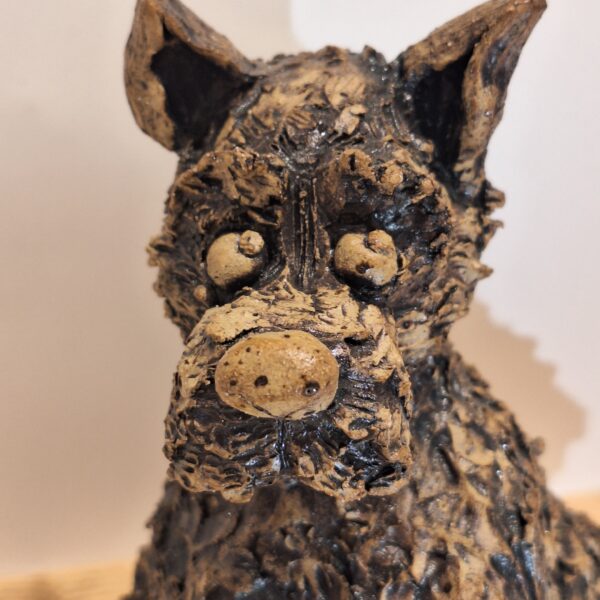 Scottie
