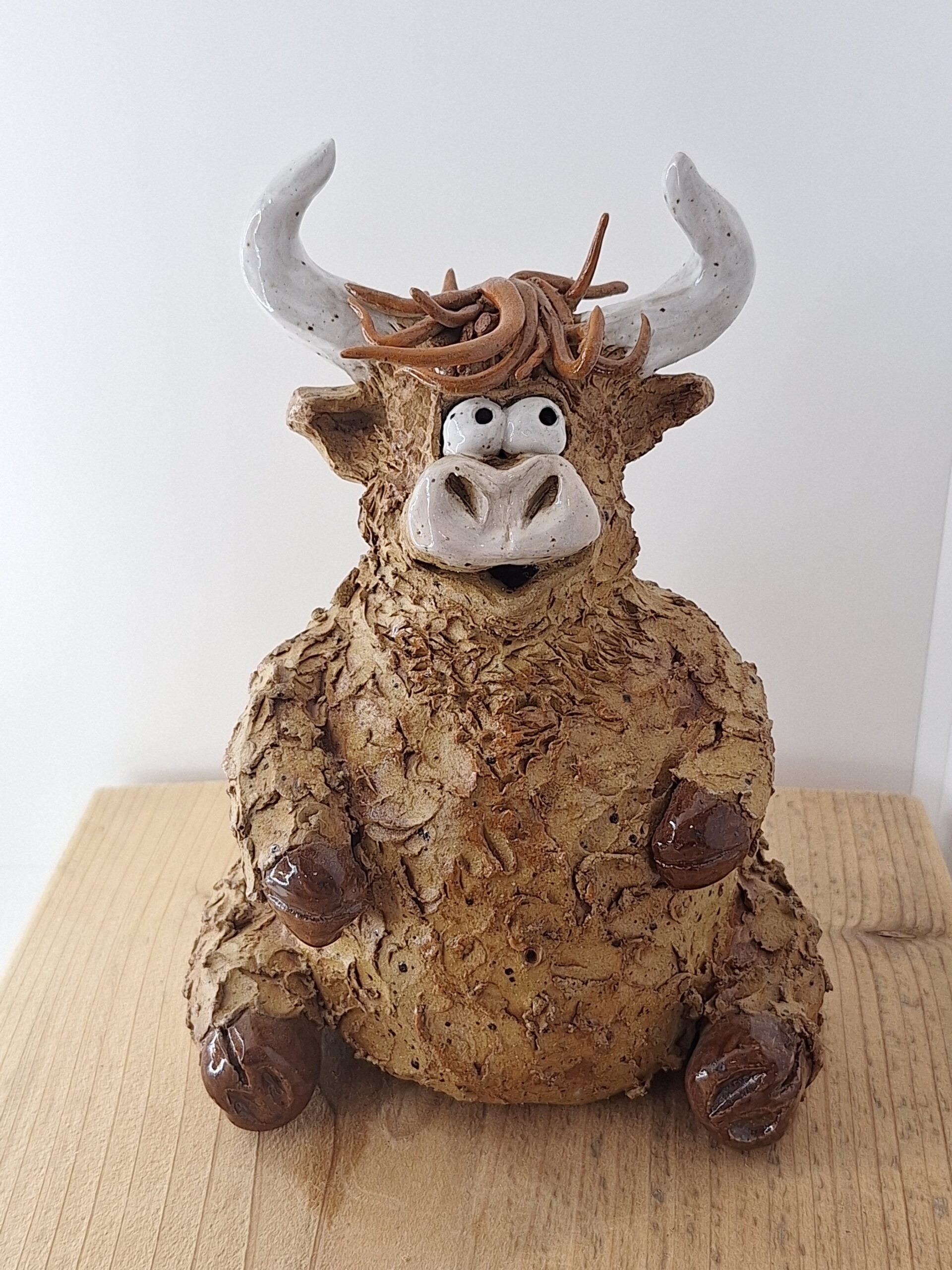 Hank the Highland Cow